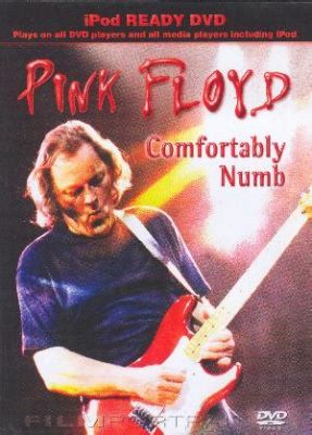 Comfortably Numb, una obra maestra del rock progresivo que te lleva a un viaje psicodélico y melancólico