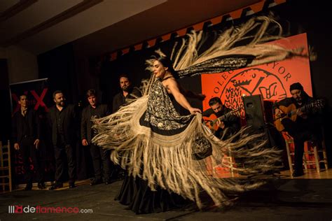 Soleá del Ronco: Una pieza que vibra con la melancolía de un alma gitana y se eleva con el fervor de un grito ancestral